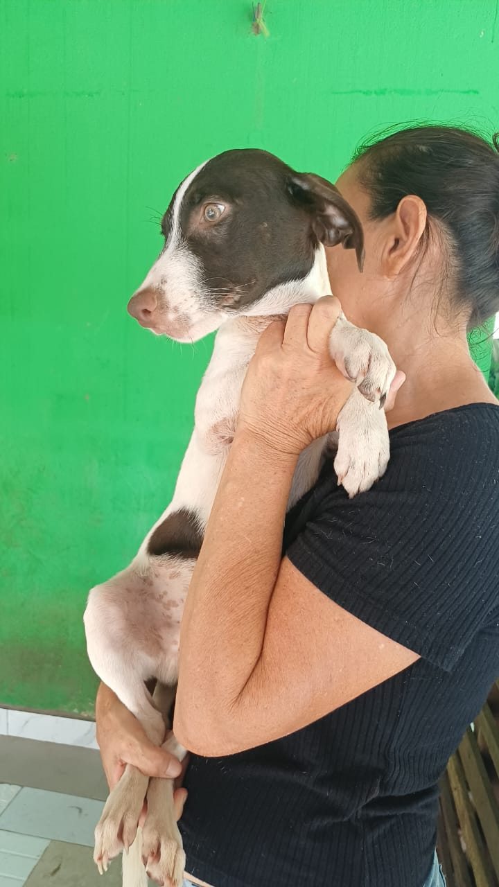 Foto de Billy